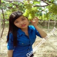 Gia sư giỏi Cao đẳng Sư Phạm Nha Trang