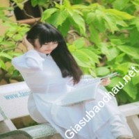 Gia sư giỏi Đại học Sư Phạm - Đại học Đà Nẵng chuyên dạy kèm môn Ngữ văn