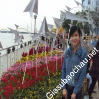 Gia sư giỏi Đại học Bách Khoa - Đại học Đà Nẵng chuyên dạy kèm môn Toán, Vật Lý, Hóa, Tiếng Anh
