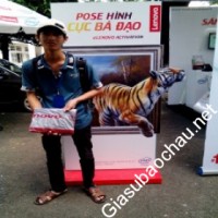 Gia sư giỏi Đại học Bách khoa chuyên dạy kèm môn Toán, Hóa, Tin học