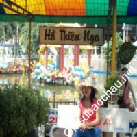 Gia sư giỏi Đơn vị khác