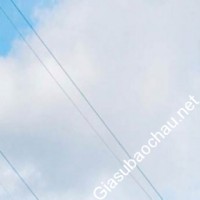 Gia sư giỏi Đơn vị khác