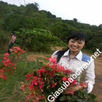Gia sư giỏi Học viện Tài chính chuyên dạy kèm môn Toán, Hóa