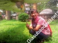 Gia sư giỏi Đại học Dược Hà Nội chuyên dạy kèm môn Toán, Tiếng Việt